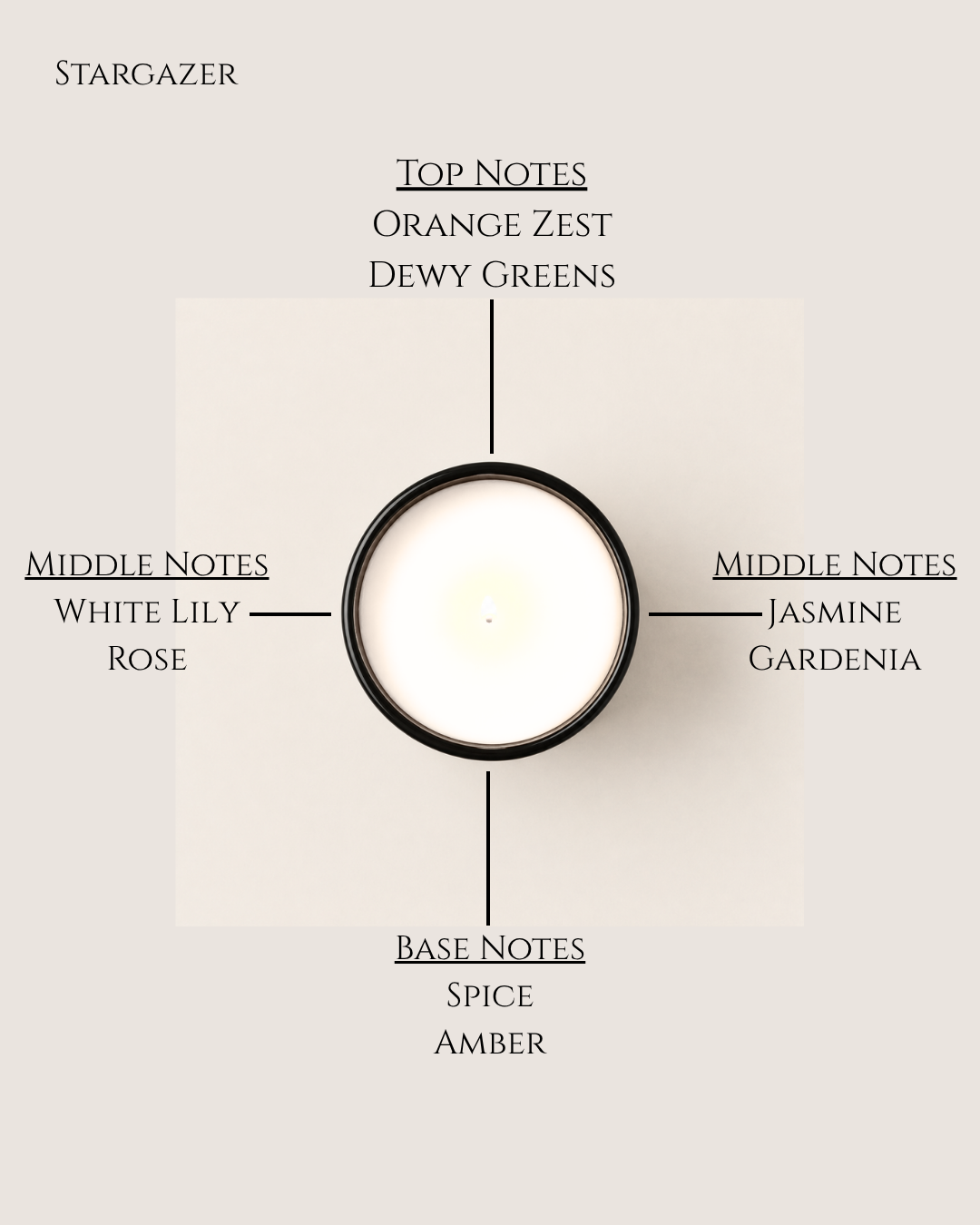 Stargazer Scented Candle