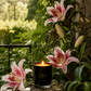 Stargazer Scented Candle