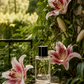 Stargazer Home Fragrance