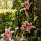 Stargazer Reed Diffuser